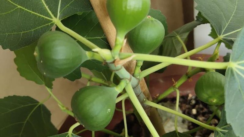 机房建设国家标准：适用范围与关键要素**